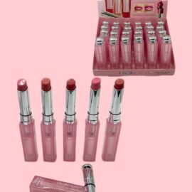 Lipstick 24  pz LS2305