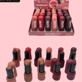 Lipstick LS2200 24 piezas